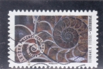 Stamps France -  Dinámicas- fosiles de amonite