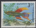 Sellos del Mundo : Europa : Bulgaria : RESERVADO MANUEL BRIONES