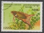 Stamps : Asia : Cambodia :  Macropodus concolor