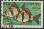 Stamps Cambodia -  Capoeta tetrazona