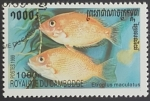 Stamps : Asia : Cambodia :  Etroplus maculatus