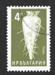Stamps Bulgaria -  1417 - Remolacha Azucarera