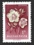 Stamps Hungary -  1199 - Helebora