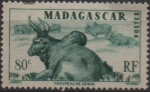 Sellos de Africa - Madagascar -  Manada d' Cebúes