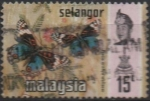 Stamps : Asia : Malaysia :  Rhyncos tylis retusa
