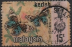 Stamps Malaysia -  Rhyncos tylis retusa