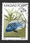 Sellos de Europa - Hungr�a -  3053 - Pez Cebra azul