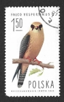 Stamps Poland -  2077 - Cernícalo Patirrojo