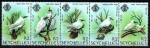 Stamps Africa - Seychelles -  Charran blanco
