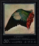 Stamps North Korea -  serie- Pinturas A. Durero- Ala de pájaro