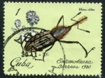 Stamps Cuba -  Insectos