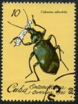Stamps Cuba -  Insectos