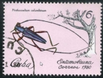 Sellos de America - Cuba -  Insectos