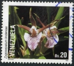 Stamps Venezuela -  Orquidea