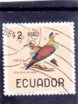 Stamps : America : Ecuador :  AVE- tortola