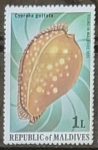 Stamps : Asia : Maldives :  Caracoles - Cassis nana
