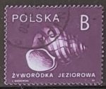 Stamps Poland -  Caracoles - Viviparus contectus