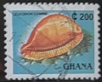 Sellos del Mundo : Africa : Ghana : Caracoles - Cypraea leucodon)