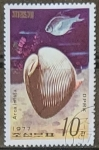 Stamps North Korea -  Caracoles - Arca inflata