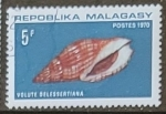 Stamps Madagascar -  caracoles - Lyria delessertiana)