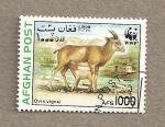 Stamps Afghanistan -  Ovis vignei