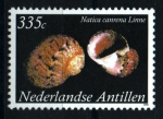 Sellos de America - Antillas Neerlandesas -  serie- Caracolas marinas
