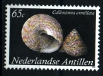 Stamps : America : Netherlands_Antilles :  serie- Caracolas marinas