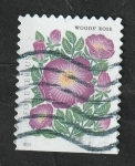 Stamps United States -  Flor Wodds Rose