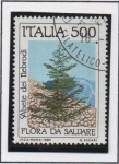 Stamps Italy -  Conservación d' l' Naturaleza, Pino Nebrodi