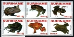 Sellos de America - Surinam -  Ranas
