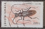 Sellos de Europa - Rumania -  Insectos - Cerambyx cerdo