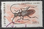 Stamps Romania -  Insectos - Cerambyx cerdo
