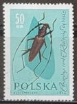 Stamps Poland -  Insectos - Cerambyx cerdo
