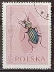Sellos de Europa - Polonia -  Insectos - Carabus auronitens