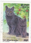 Stamps France -  GATOS DE RAZA