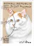 Stamps Somalia -  GATO DE RAZA