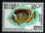 Stamps Belgium -  125 aniv. Zoo Anvers