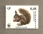 Stamps Slovenia -  Ardilla