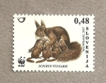 Stamps Europe - Slovenia -  Ardilla criando