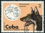 Stamps : America : Cuba :  Medicina Veterinaria