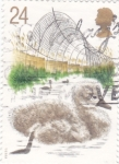 Stamps United Kingdom -  PATOS