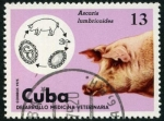 Stamps : America : Cuba :  Medicina Veterinaria
