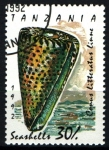 Stamps : Africa : Tanzania :  serie- Caracolas marinas