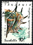 Stamps : Africa : Tanzania :  serie- Caracolas marinas