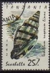 Stamps : Africa : Tanzania :  TANZANIA 1992 Michel 1249 Sello Nuevo Moluscos Vexillum rugosum Linne Matasellos de Favor Preobliter