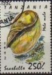 Stamps : Africa : Tanzania :  TANZANIA 1992 Michel 1253 Sello Moluscos Melo Melo Matasellos de Favor Preobliterado