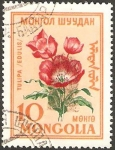 Stamps Mongolia -  flora - tulipan