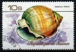 Stamps : Africa : Guinea :  serie- Caracolas marinas