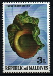 Stamps Maldives -  Caracola marína