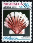 Stamps : America : Nicaragua :  serie- Moluscos